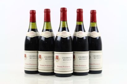 5 bottles of CHAMBOLLE-MUSIGNY 1995 from...
