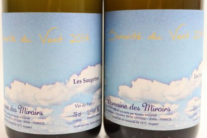 2 bottles of SONORITE DU VENT Les Saugettes...