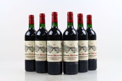6 bottles of SAINT-GEORGES SAINT EMILION...