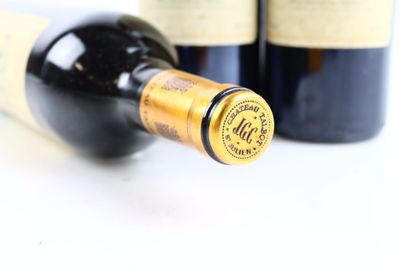 3 bottles of SAINT-JULIEN 1988 from Château...