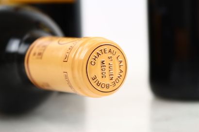 6 bottles of SAINT-JULIEN 2011 from Château...