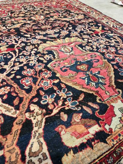 Prayer rug
Remarkable lambswool velvet, silky...