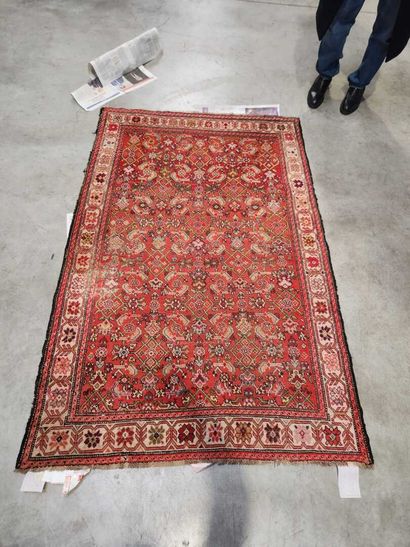 Karabagh carpet
Wool velvet on wool foundation
Herati...