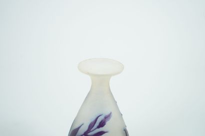 Établissements Émile GALLÉ (1904 - 1936)
Baluster...