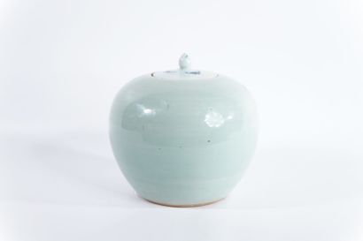 Asia
Ginger pot with white / blue decoration...
