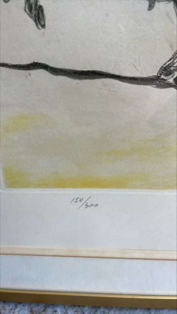Salvador DALI (1904-1989) 
Composition 
Lithographie...