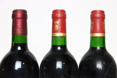 1 bottle of red MEDOC 1989, CHÂTEAU LAFITTE-TRAMIER.
5...