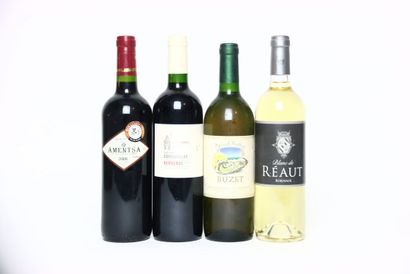 1 bottle of IROULÉGUY red 2009, AMENTSA.
1...