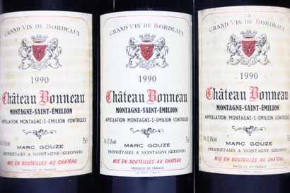 6 bouteilles de MONTAGNE-SAINT-ÉMILION rouge...