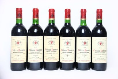 6 bouteilles de MONTAGNE-SAINT-ÉMILION rouge...