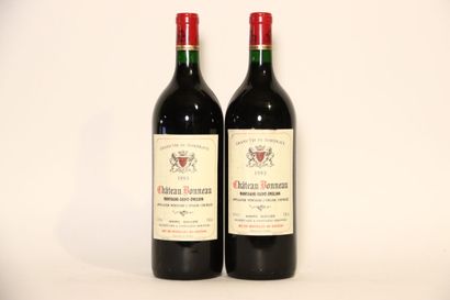 2 magnums de MONTAGNE-SAINT-ÉMILION rouge...