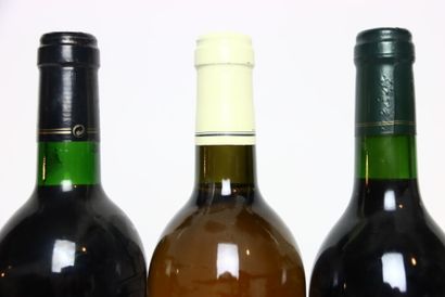 6 bottles of PREMIÈRES-CÔTES-DE-BLAYE red...