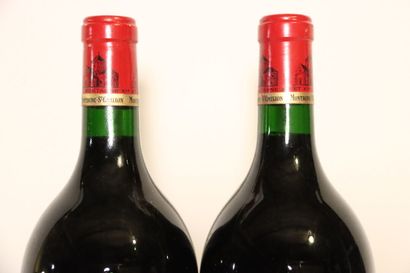 2 magnums de MONTAGNE-SAINT-ÉMILION rouge...