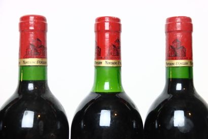 6 bouteilles de MONTAGNE-SAINT-ÉMILION rouge...