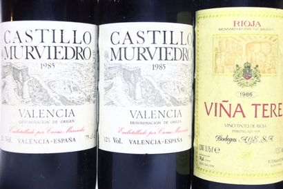 2 bottles of red VALENCIA 1985, CASTILLO...