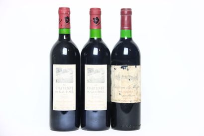 2 bottles of red CAHORS 1994, LE CHATENET...