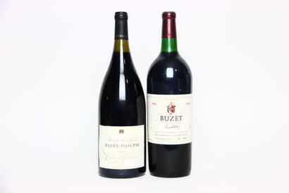 1 magnum of SAINT-JOSEPH red 2015, CAVE SAINT-DÉSIRAT.
1...