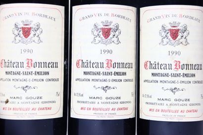 6 bouteilles de MONTAGNE-SAINT-ÉMILION rouge...