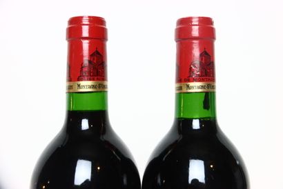 2 bouteilles de MONTAGNE-SAINT-ÉMILION rouge...