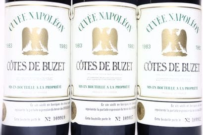 3 bottles of red CÔTES DE BUZET 1983, VIGNERONS...