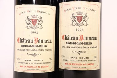 2 magnums de MONTAGNE-SAINT-ÉMILION rouge...