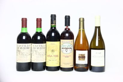 2 bottles of red VALENCIA 1985, CASTILLO...