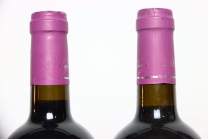 2 bottles of red 2008 VIN DE PAYS DES PYRÉNÉES...