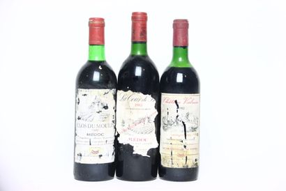 1 bouteille de MÉDOC rouge 1981 CLOS DU MOULIN....