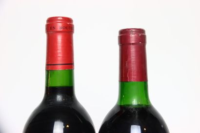 1 bottle of red MEDOC 1989, CHÂTEAU LAFITTE-TRAMIER.
5...