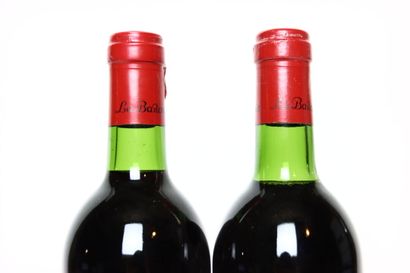 2 bottles of red BORDEAUX 1982, MOUTON-CADET...