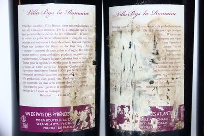 2 bottles of red 2008 VIN DE PAYS DES PYRÉNÉES...