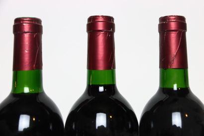 6 bottles of PREMIÈRES-CÔTES-DE-BLAYE red...