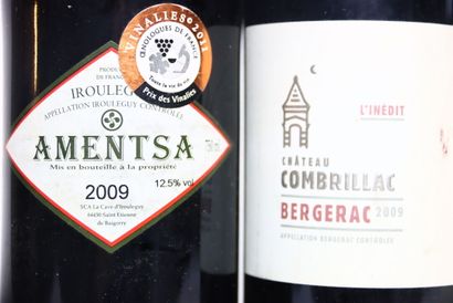1 bottle of IROULÉGUY red 2009, AMENTSA.
1...
