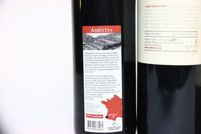 1 bottle of IROULÉGUY red 2009, AMENTSA.
1...