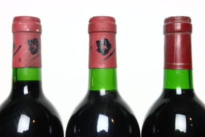 2 bottles of red CAHORS 1994, LE CHATENET...