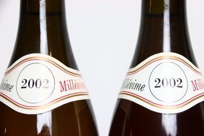 5 bottles of white HERMITAGE 2002, PAUL ...