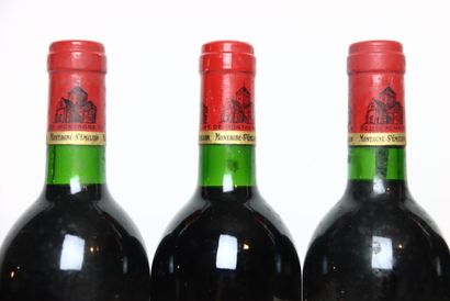 6 bouteilles de MONTAGNE-SAINT-ÉMILION rouge...