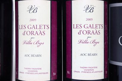 2 bottles of red 2008 VIN DE PAYS DES PYRÉNÉES...