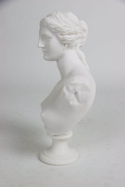 Buste de la Vénus de Milo, statue en poudre...