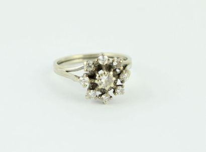 Daisy ring in 18K (750/100) white gold centered...