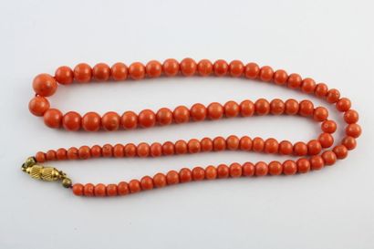 Lot de 5 colliers dont corail, malachite,...