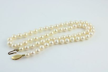 Collier de perles de culture, le fermoir...