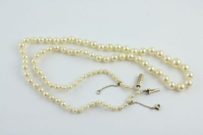 Collier de perles de culture en chute, le...