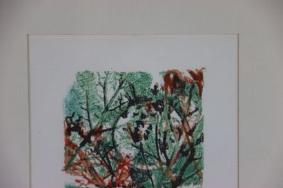 André MARCHAND (1907-1997). Lithographie...