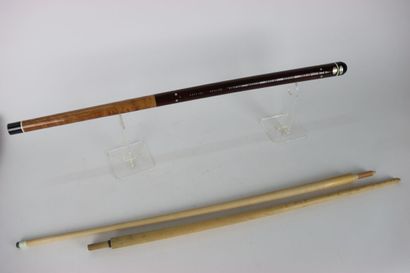 Pool cue with its two counter-measures. Case....