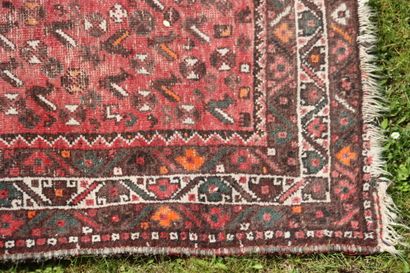 TAPIS. Chiraz, Iran, Vers 1960, Velours en...