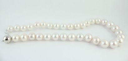 Collier de perles de culture en chute (diamètre...