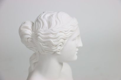 Buste de la Vénus de Milo, statue en poudre...