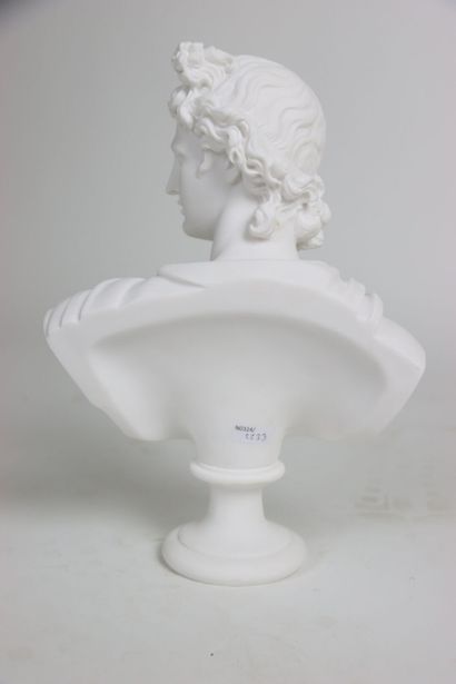 Bust of Apollo looking to the left, sculpture...