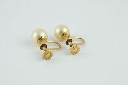 Paire de boucle d'oreille en or jaune 18K...